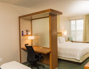SpringHill Suites by Marriott Buffalo Airport Williamsville United States