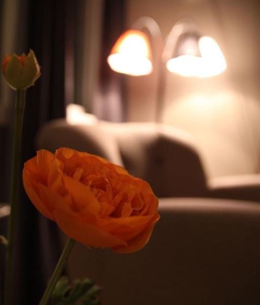 صورة الفندق 17