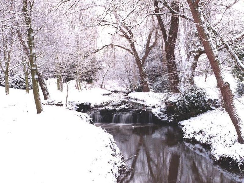 صورة الفندق 20