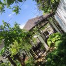 Фото отеля КИПАРИС комнаты для отпуска