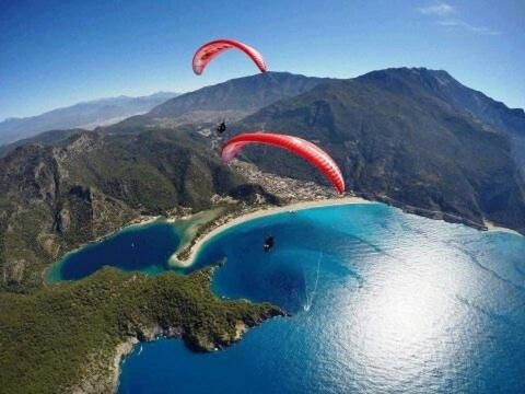 صورة الفندق 16
