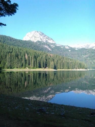 صورة الفندق 19