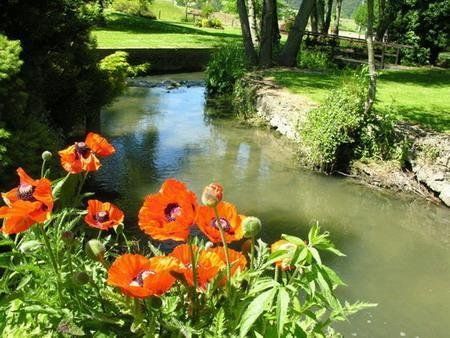 صورة الفندق 17