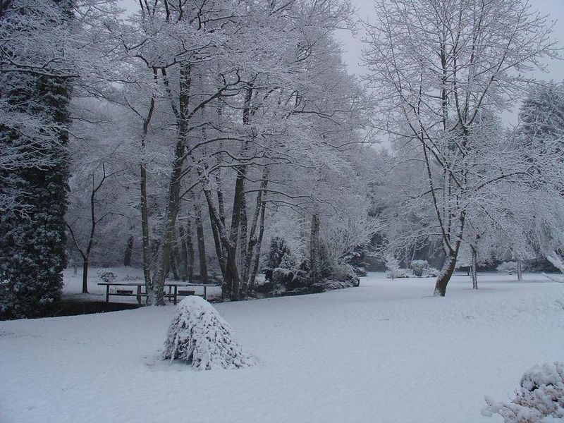 صورة الفندق 20