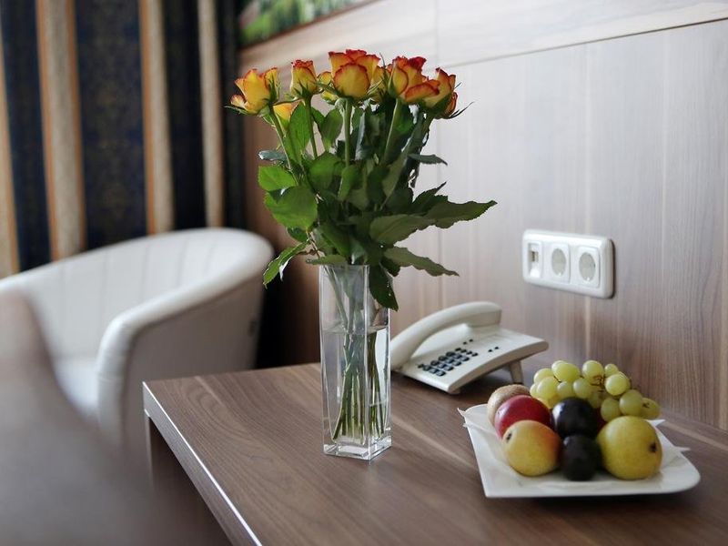 Hotel Photo 11