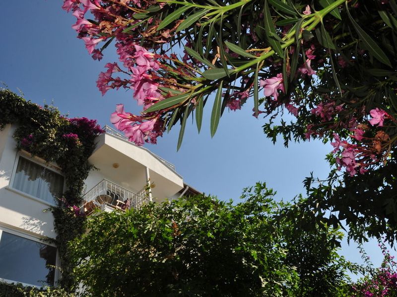 صورة الفندق 23