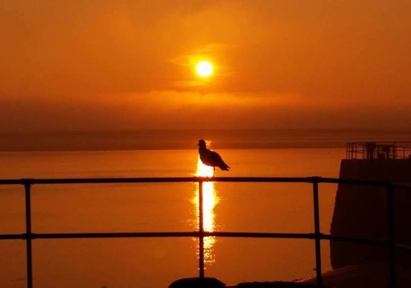 صورة الفندق 17