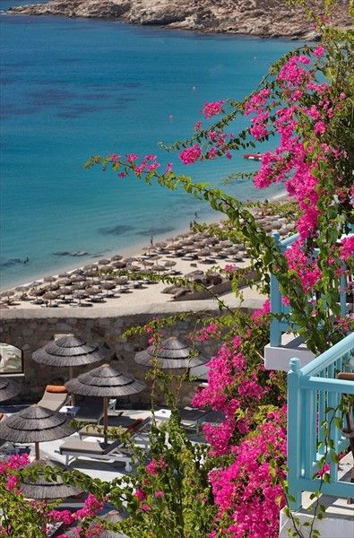 صورة الفندق 18