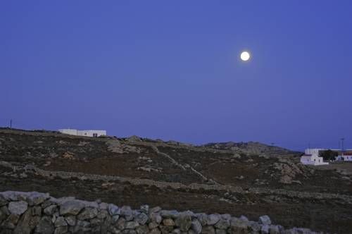 صورة الفندق 24