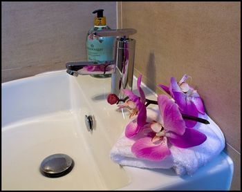 صورة الفندق 8
