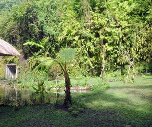 Heaven Tegallalang Indonesia
