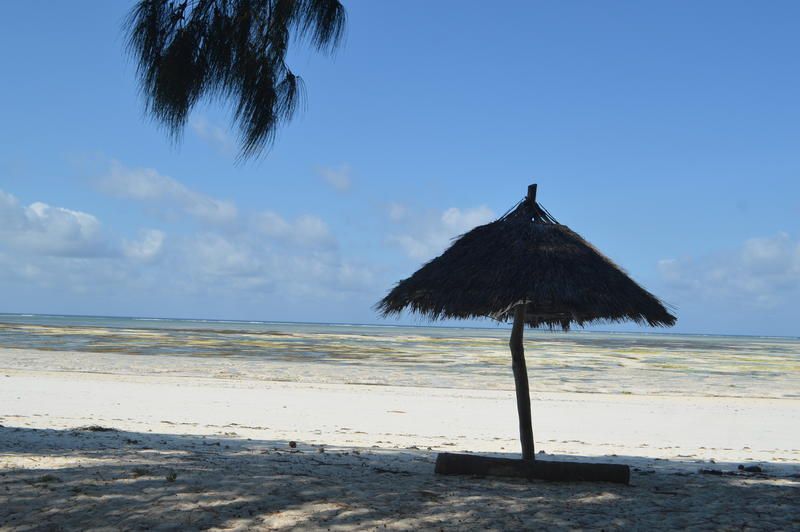 صورة الفندق 23