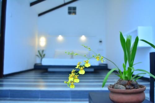 صورة الفندق 1