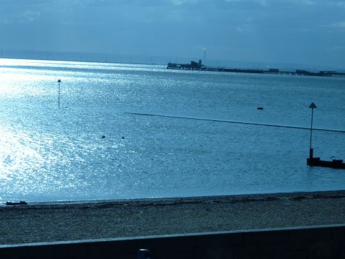 صورة الفندق 22