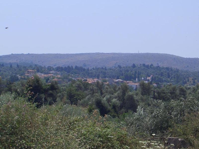 صورة الفندق 19