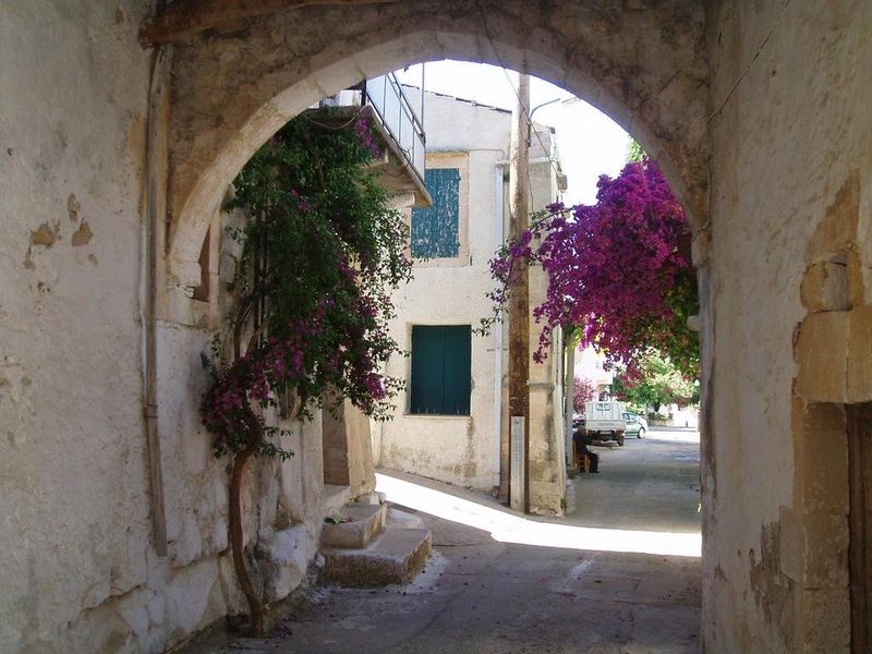صورة الفندق 24