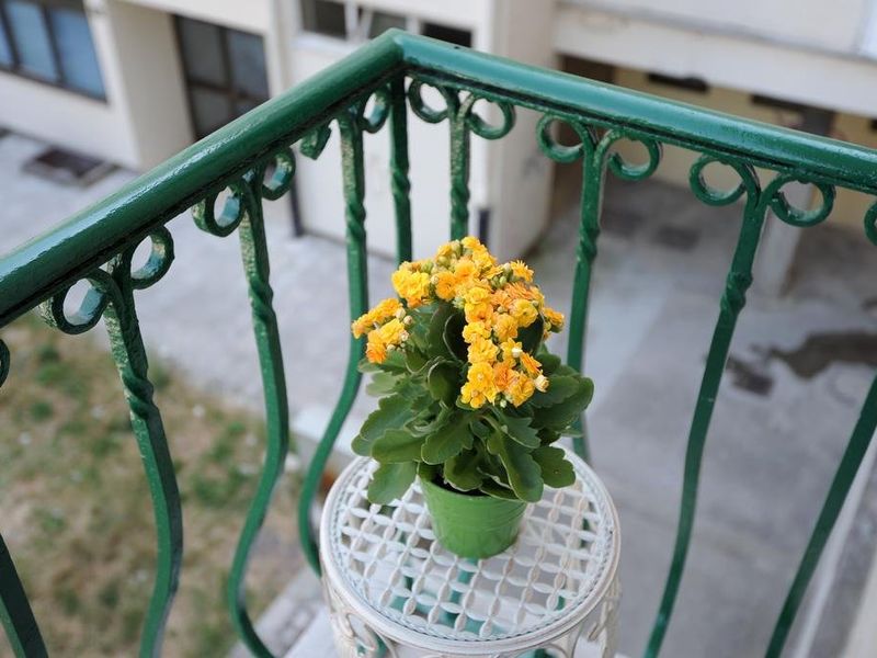 صورة الفندق 24