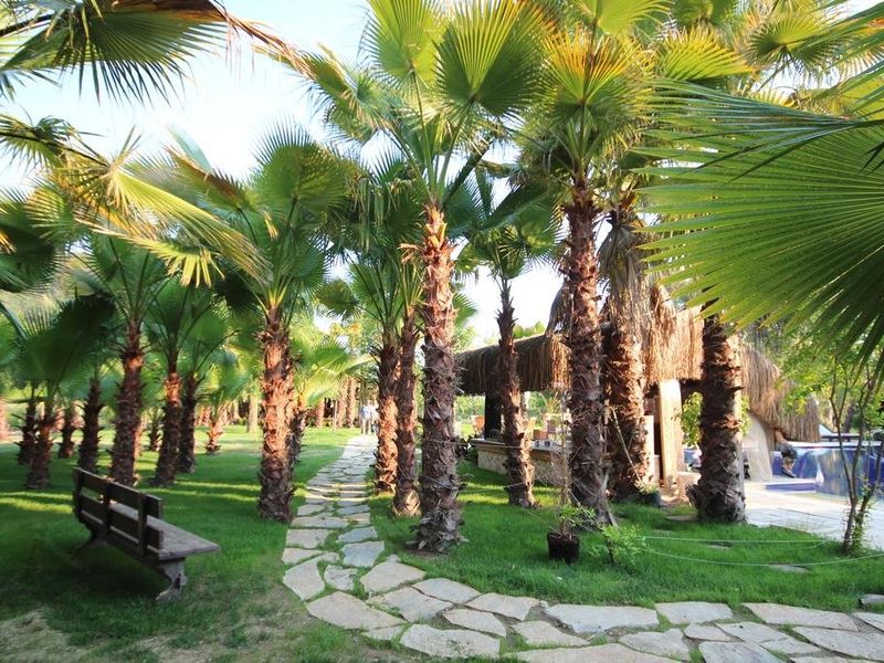 Hotel Photo 24