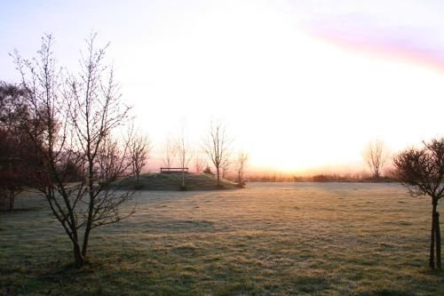 صورة الفندق 20