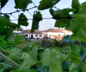 Casa Vacanze Etna Linguaglossa Italy