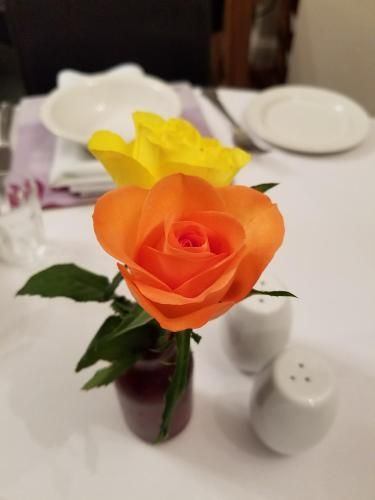 صورة الفندق 15