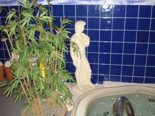 صورة الفندق 9