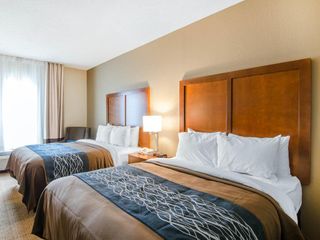 Hotel pic Comfort Inn & Suites Lynchburg Airport - University Area
