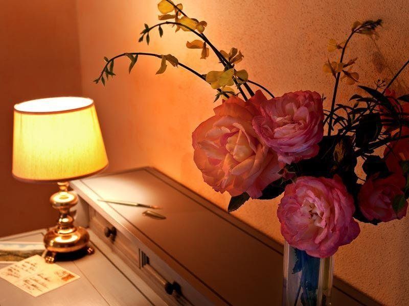 صورة الفندق 14