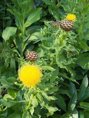 صورة الفندق 6