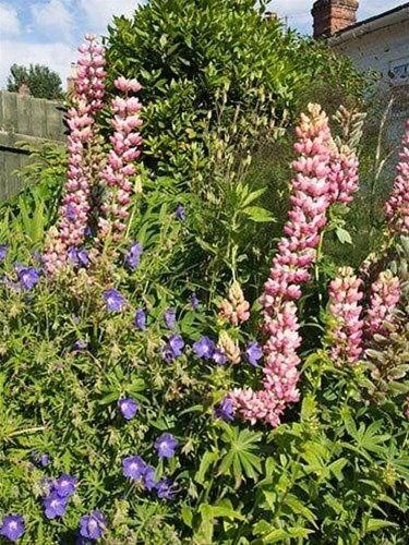 صورة الفندق 7