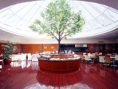صورة الفندق 15