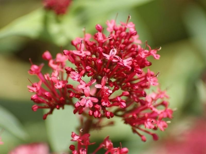 صورة الفندق 18