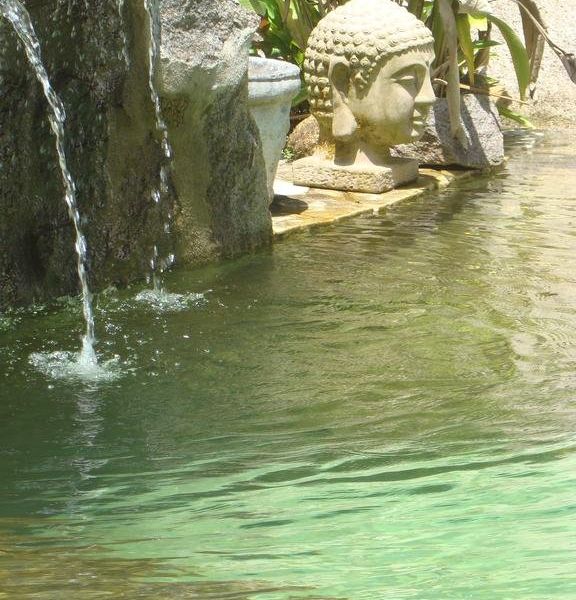 صورة الفندق 17