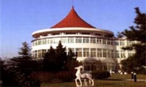 صورة الفندق 15