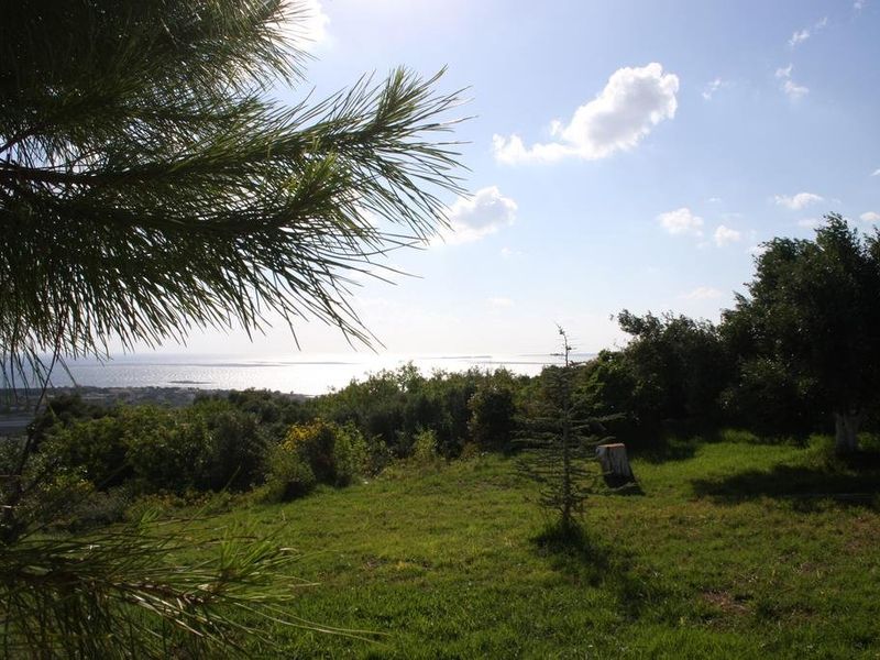 صورة الفندق 16
