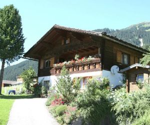 Apartment Hannelore 3 St. Gallenkirch Austria