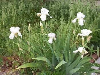 صورة الفندق 22