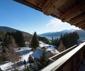 Panorama Chalet 17 Hollersbach Austria