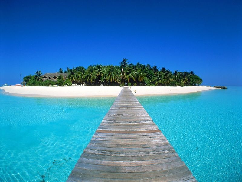 صورة الفندق 23