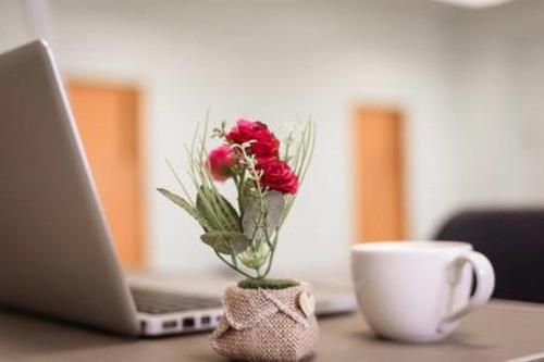 صورة الفندق 6