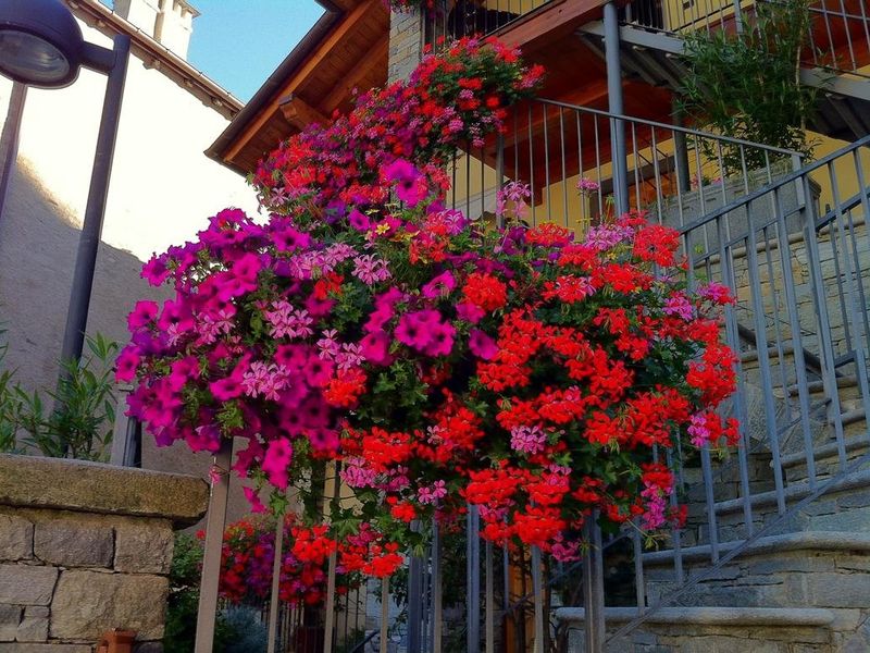 صورة الفندق 15