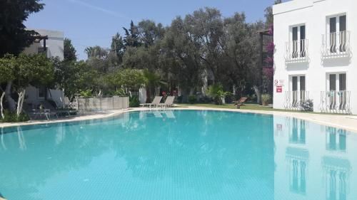 صورة الفندق 15