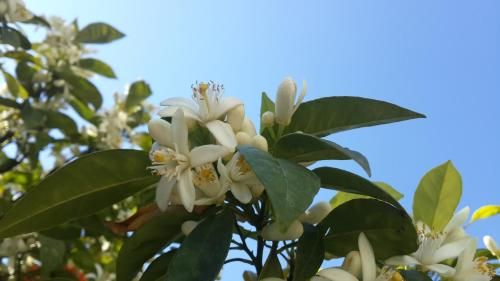 صورة الفندق 21