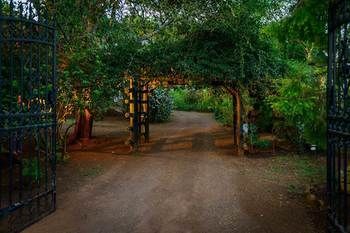 صورة الفندق 21