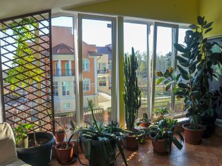 Александрия Петергоф