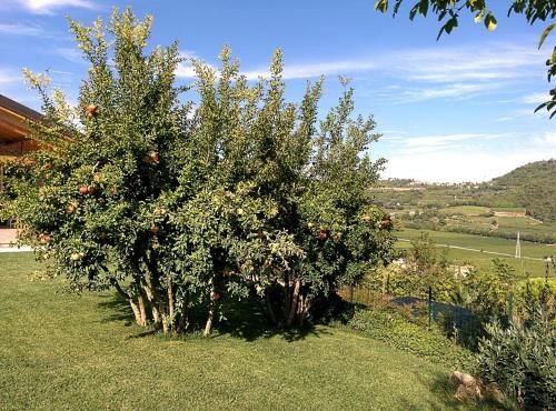 صورة الفندق 5