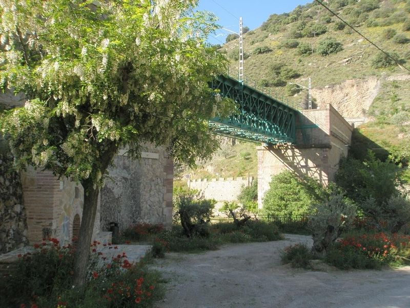 صورة الفندق 21