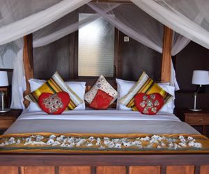 Tarangire Simba Lodge Madege Tanzania