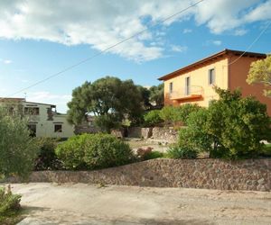 Artemisia Sardegna Lu Bagnu Italy