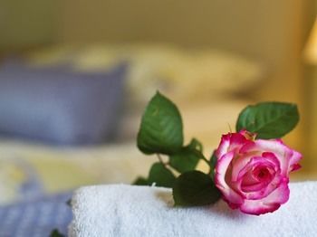 صورة الفندق 12